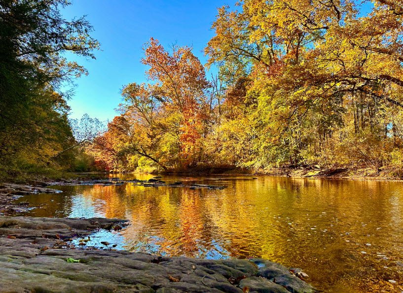 Evansburg State Park, Pennsylvania, USA